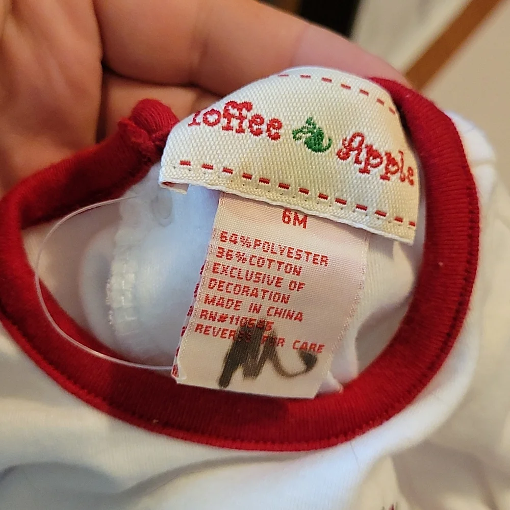 Toffee Apple Christmas Outfit